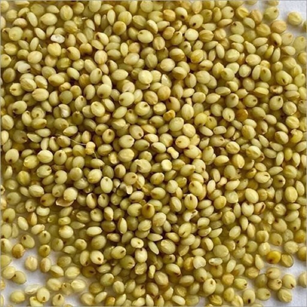 browntop-millet-500-grams