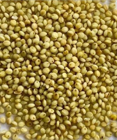 Browntop Millet 500 Grams