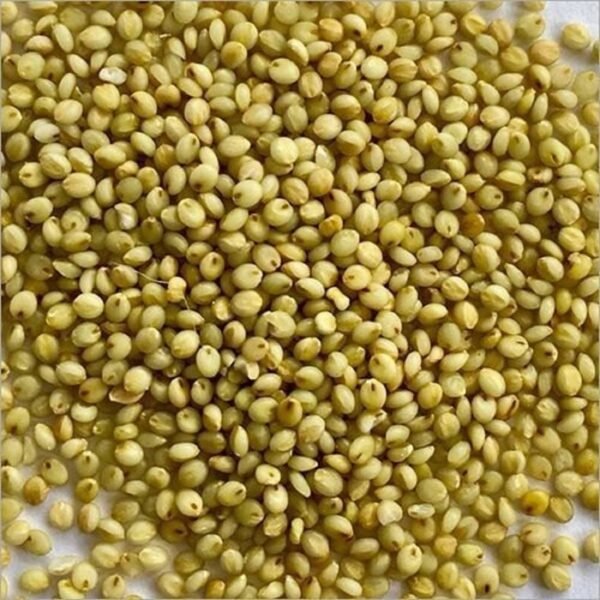 Browntop Millet 500 Grams