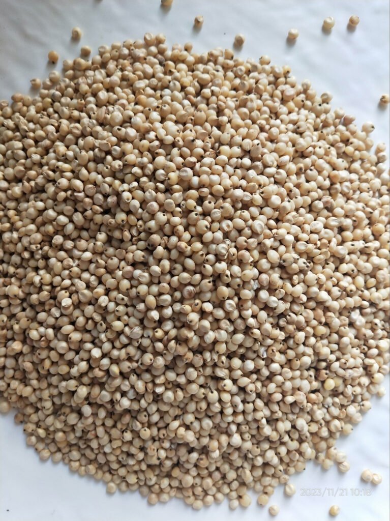 jowar-500-grams