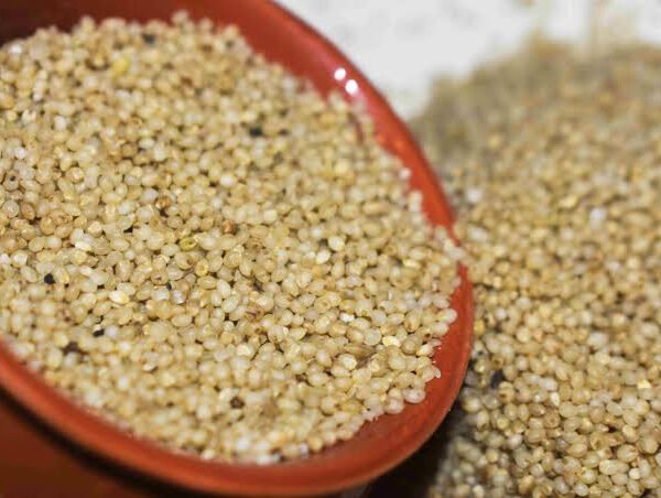 Barnyard Millet 500 Grams